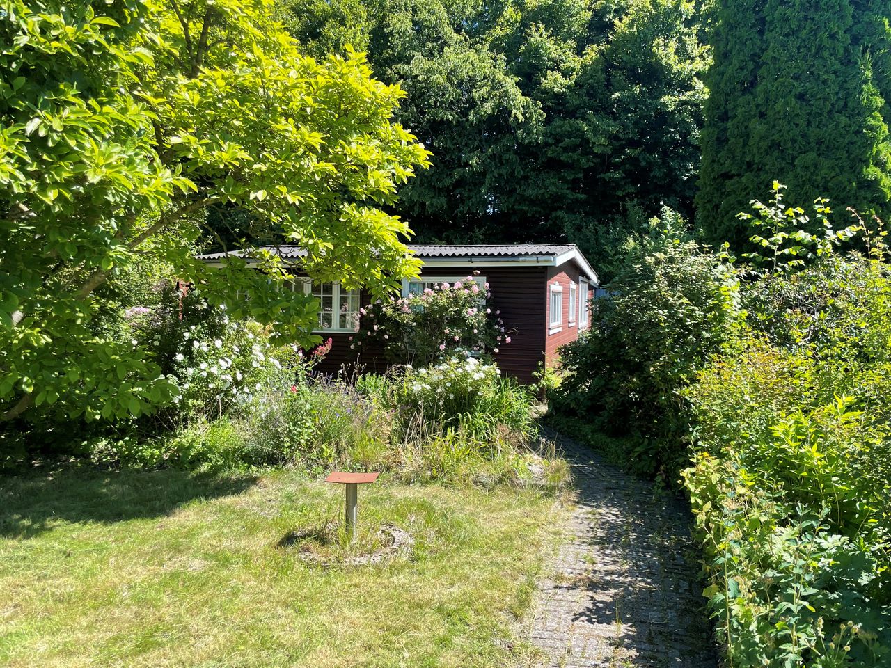 image 01